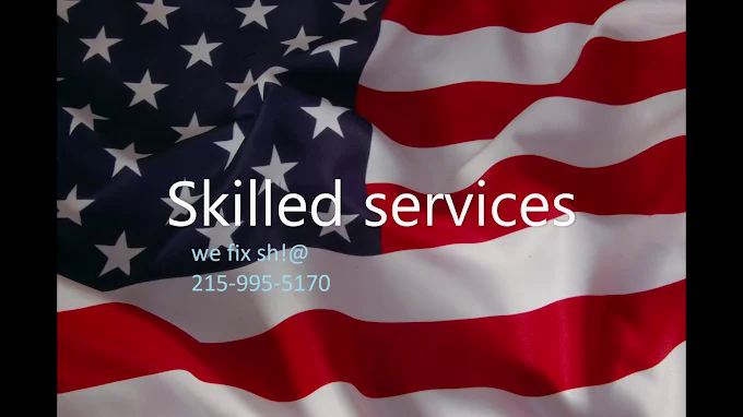 Skilled Services LLC — American flag logo